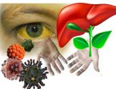 ����������� ����: ���� ����� � �������� �