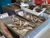 �� ����� � ����������� ����� ����� 40 �� ������� ����