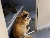 � ������������ ����� ��� 6 ��� ��������� �������� ������ ���� 