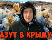 ������� ����� 90% ������ � ���������� �������