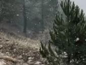 � ����� �� ����� ��-����� ����� ������ ����