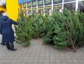 ��� ������� ���������� ���� � �����?