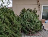 � �������� ������ ��������� ���������� ����