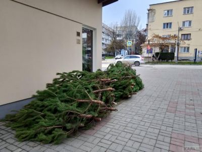 � �������� ������ ��������� ���������� ����