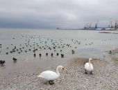 ���� ����������: �������� ������� � ����� ����� ������