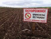 � ����� �� ������������ ���������� ���������� ����������� 23 ���������