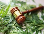 ��������� �� ������� �������� ������ ���������� ������ � 240 ����� ������