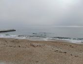 ����� ���������