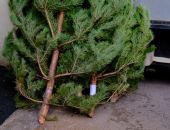 � ���� ��������� �� ���������� ������� ���������� ����