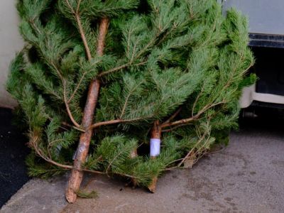 � ���� ��������� �� ���������� ������� ���������� ����