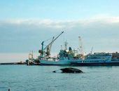 ������������� ������� ���� ������� �� �������� �� 193 ��� ������