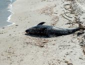 � ������ ������������� 688 �������� ���������