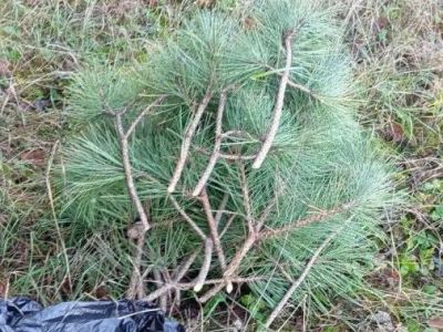 � ����� ������ ��������� ��������� ����� �����