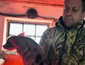 � ����� �������� �������� ����������� ������� � ��������� ������� 