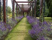  � ���������� �������� ����������� ������