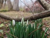  � ����������� ������� ������ �����������