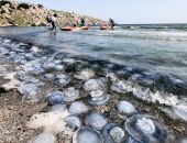 �������� ���� ��� ����: ��������� ����� ������� �� �����