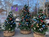 7% ������� ����� ����� �������� � ���������� ����