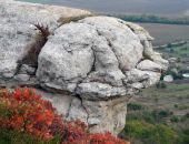 � ����� ������� ��� ����� ����� ���������� ��������� ����������