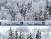  ����� 8 ����� ������� �������� ����� ��� � �������, ������ � ����