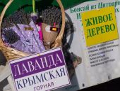 ��� ������ �� ����� ��� �� �����