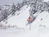 � ����� �� ��-����� ������ �������� ������� �������� 41 ����������