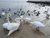 � �������� ��������� ��� 10 �������