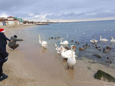 � �������� ��������� ��� 10 �������