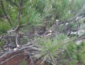  � �������������� ������ � ����� ��������� 3 ������ ����� ������� ��������