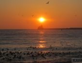 ���� � ����� �������� 2025, ������� �� ����� ����������