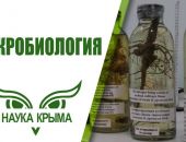 � ����� ���������� ���������� ������������������ ��������