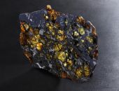 � ����� ������� �������  ���������, - �� 500 ������ �� ���������