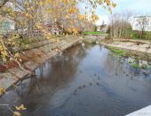 ��� �������� ������������ ���� �������� �������?