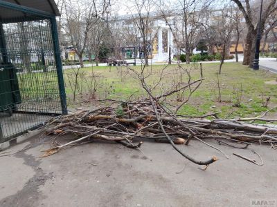 ����� � ��������: ������ �������, � ���� ���������