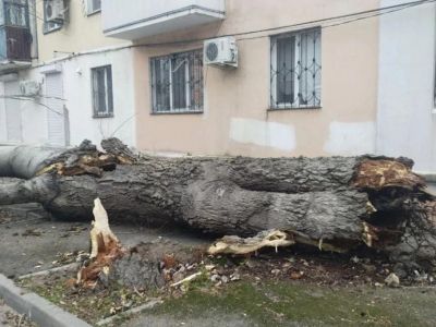 ����� � ��������: ������ �������, � ���� ���������