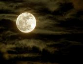  � ����  �� 4 ������ ���������� ������ ���������� 2026 ����