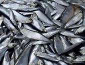 ������� ����� �������� � �������� � ������ ����� �� ���