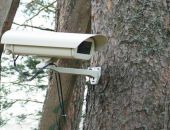 ���� ������� ����� �����, ����������� ��� ����������������, ������� �� 72%