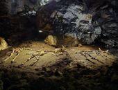 ����� ����� ����� ����� ����� ��������� �� ������ ���������