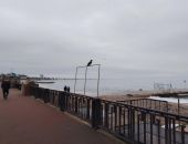 ����� ������ � ���� ����������