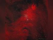 "���������" ����������� ������ ���������� "�������������� ����"