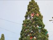 � ����� �������� 13-�������� ��������������