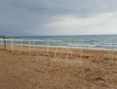 ��������, 50 ���� �� �����