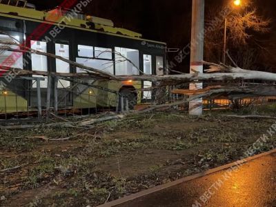 � ����� ������ ����� �� ����������� ����������