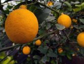 ��� � ����� ���������� ������