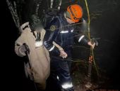 ������� � �������� ����������� � ������ � ����� �����