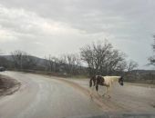 ��������� ������ ��������� �� ����� �� ����� �����