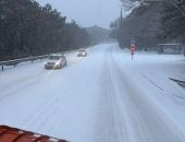 ������ ����-����������� �������� ������