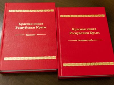 � ����� ��������� ����������� ������� ������� �����
