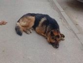 � ����� ������� ������ ��������� ������ �� ��������